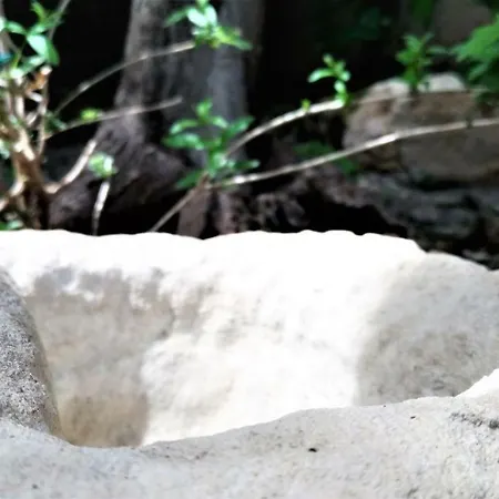 Bed and Breakfast La Grotta *